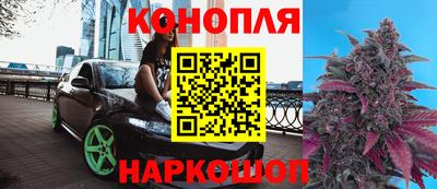 гидра Волгодонск