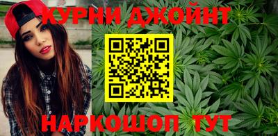 гидра Волгодонск