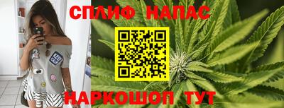 гидра Волгодонск