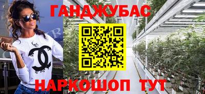 гидра Волгодонск
