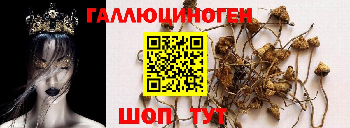 наркотики  Псилоцибиновые грибы MAGIC MUSHROOMS  Вход с VPN  Менделеевск 